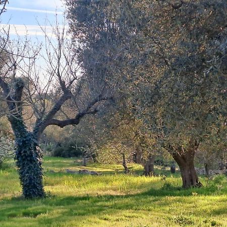 Casa Baronessa Villa Ceglie Messapica Bagian luar foto