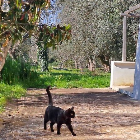 Casa Baronessa Villa Ceglie Messapica Bagian luar foto